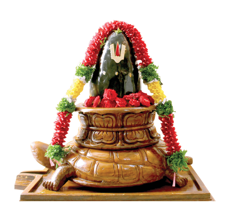 Jalagarbha Narayana Shaligrama