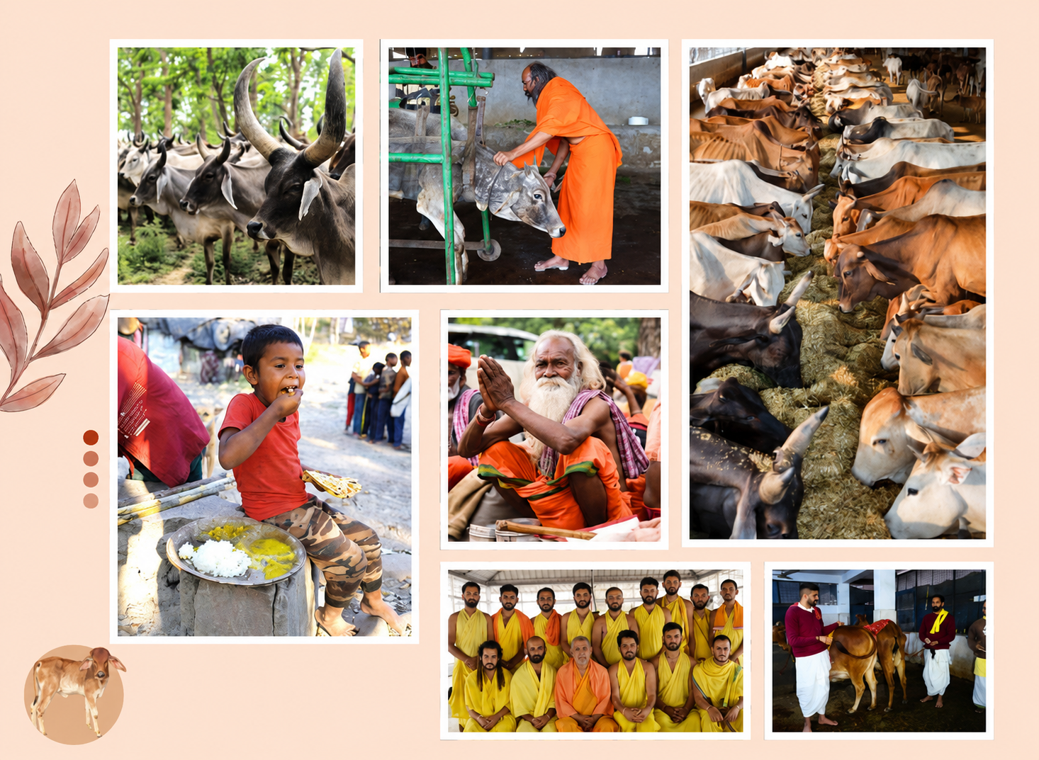 ISKCON Gokulam Cow Protection