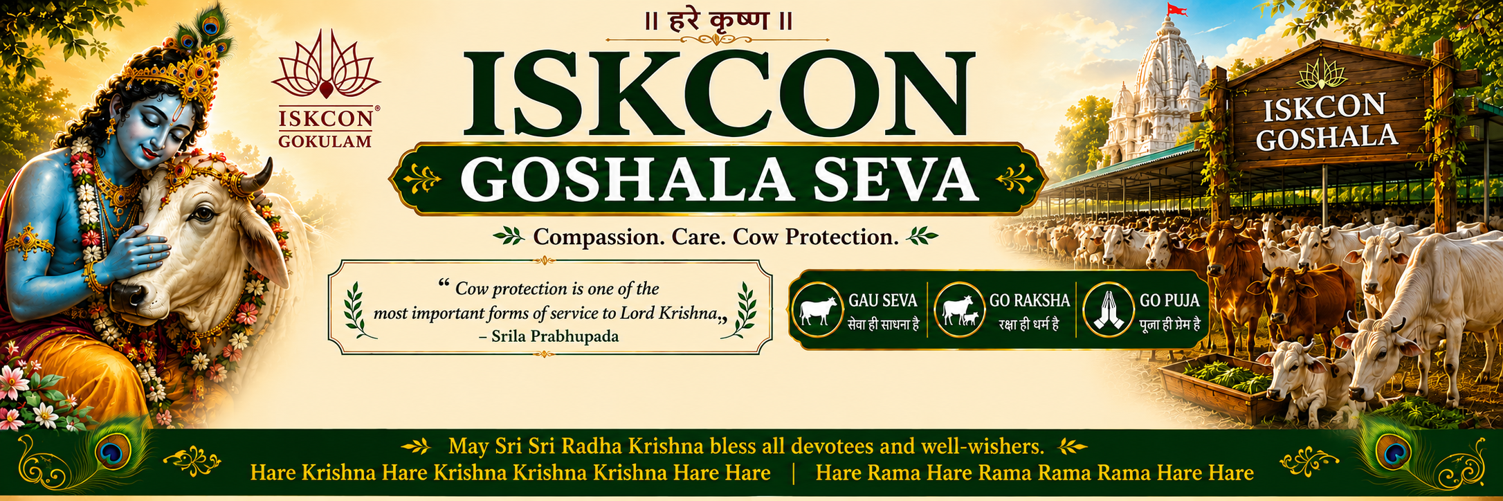 Cow Medical Banner
