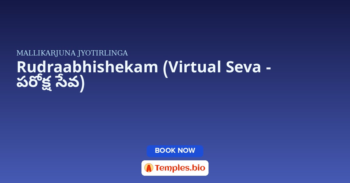Rudraabhishekam (Virtual Seva - పరోక్ష సేవ)