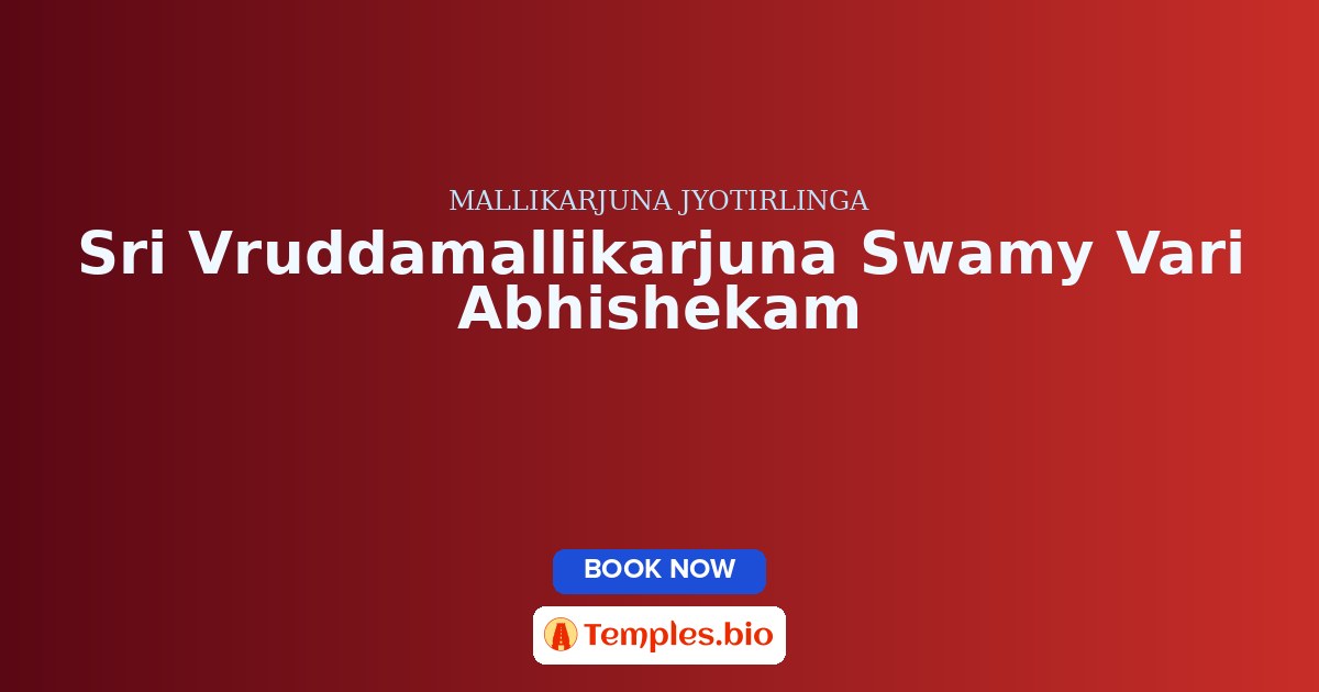 Sri Vruddamallikarjuna Swamy Vari Abhishekam