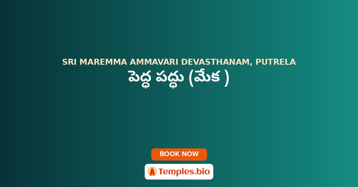పెద్ధ పద్ధు (మేక )