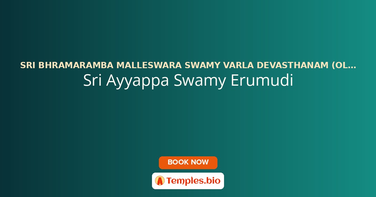Sri Ayyappa Swamy Erumudi