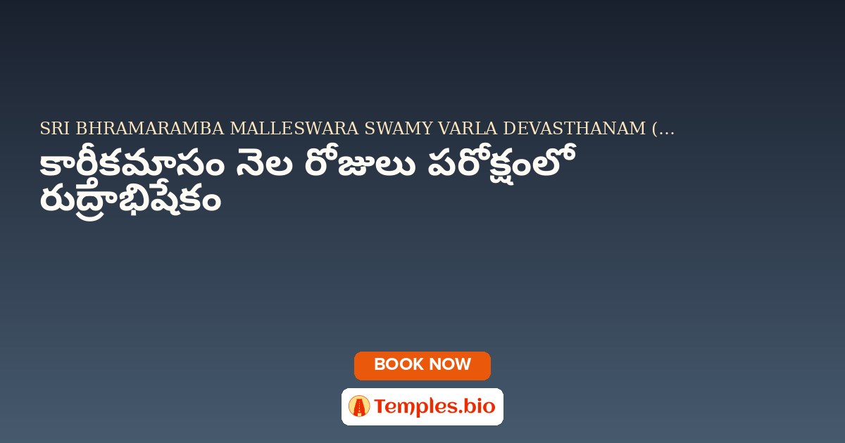 కార్తీకమాసం నెల రోజులు పరోక్షంలో రుద్రాభిషేకం