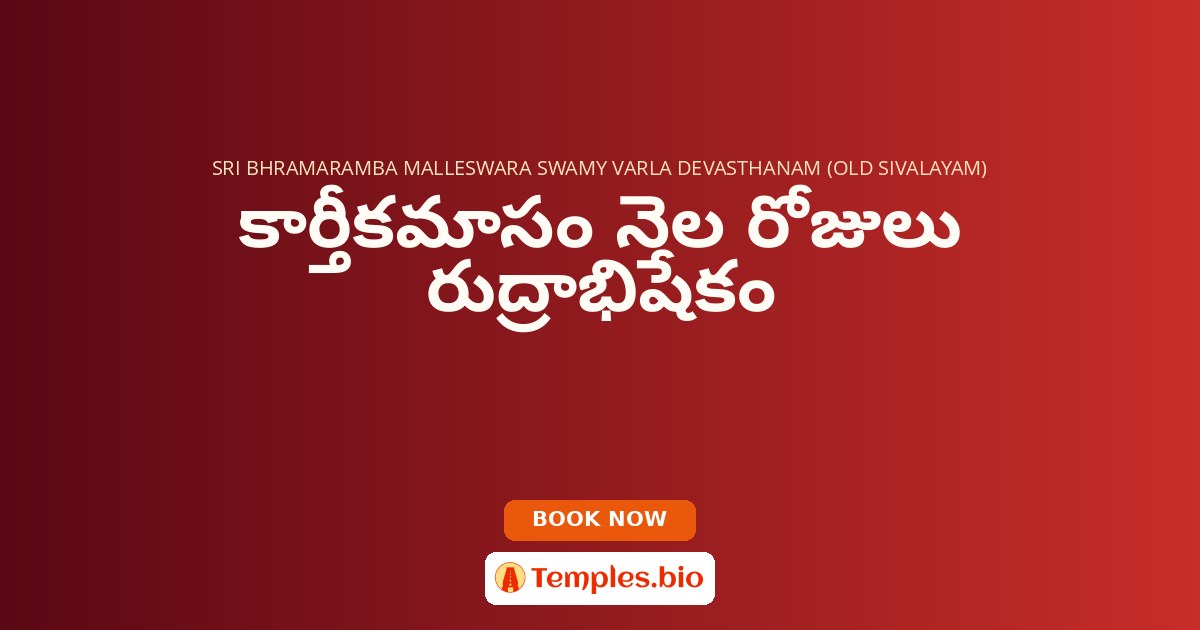 కార్తీకమాసం నెల రోజులు రుద్రాభిషేకం