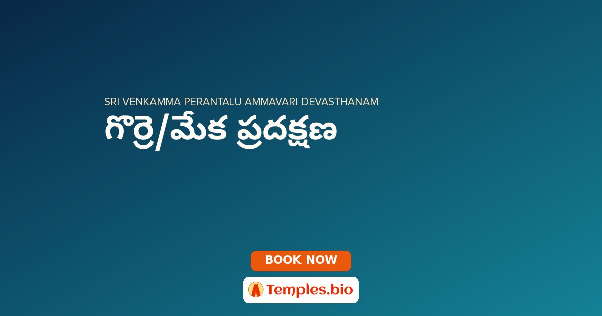 గొర్రె/మేక ప్రదక్షణ