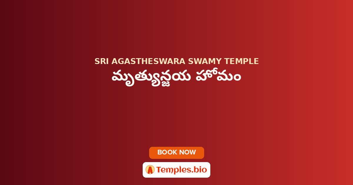 మృత్యున్జయ హోమం