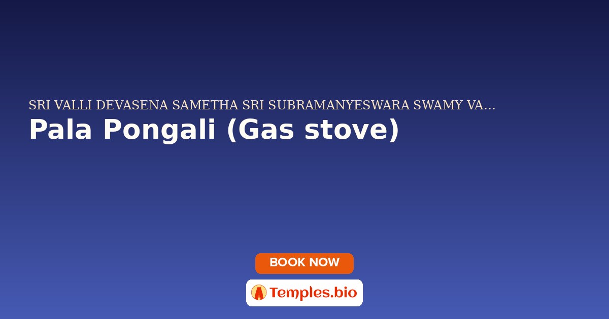Pala Pongali (Gas stove)