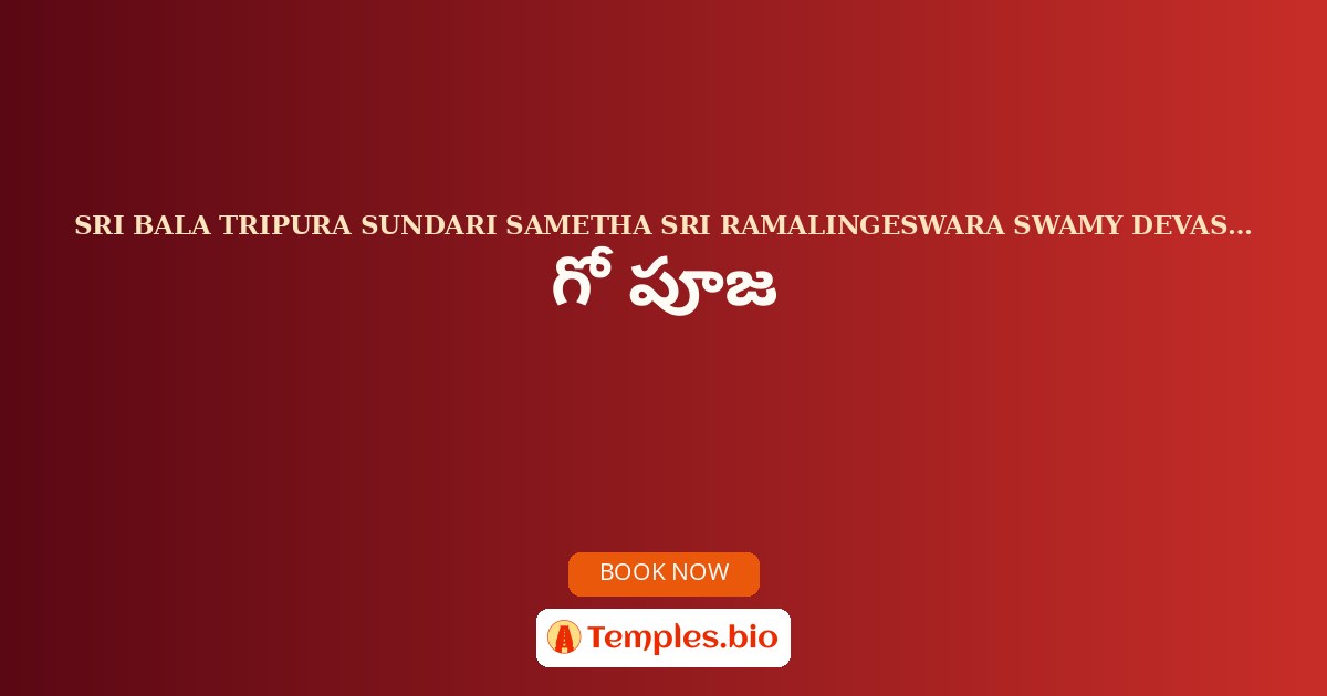 గో పూజ