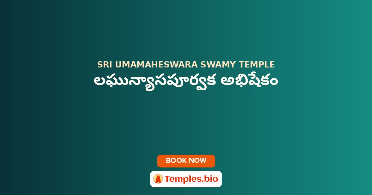 లఘున్యాసపూర్వక అభిషేకం