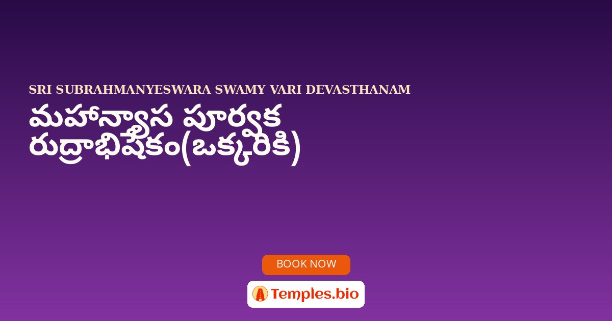 మహాన్యాస పూర్వక రుద్రాభిషేకం(ఒక్కరికి)