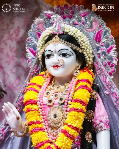 WhatsApp Image 2026-07-30 at 10.09.12 AM (2)