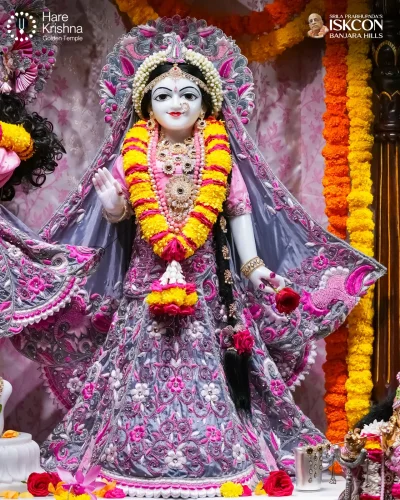WhatsApp Image 2026-07-30 at 10.09.12 AM