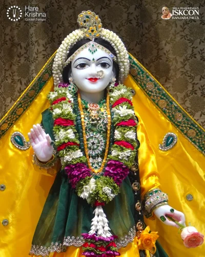 WhatsApp Image 2026-08-17 at 12.10.24 PM (1)