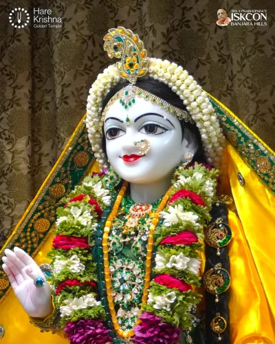 WhatsApp Image 2026-08-17 at 12.10.24 PM (3)