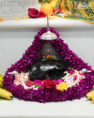 WhatsApp Image 2026-08-17 at 12.10.25 PM (2)