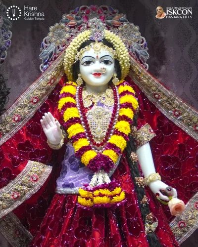WhatsApp Image 2026-08-20 at 12.23.14 PM (1)
