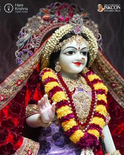WhatsApp Image 2026-08-20 at 12.23.14 PM (3)
