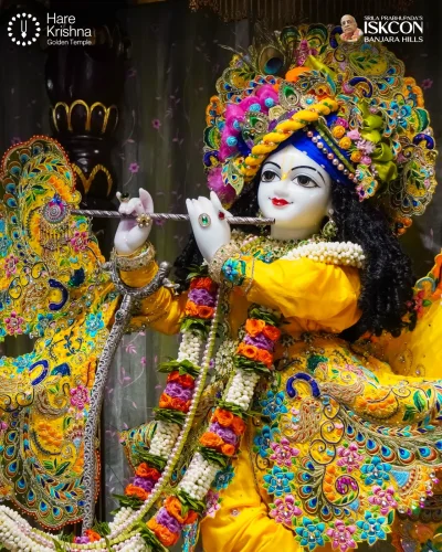 WhatsApp Image 2026-10-10 at 9.58.47 AM (2)