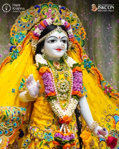 WhatsApp Image 2026-10-10 at 9.58.48 AM (2)