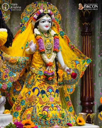 WhatsApp Image 2026-10-10 at 9.58.49 AM (1)