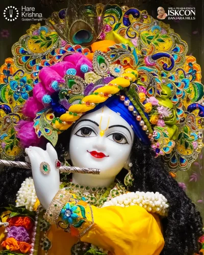 WhatsApp Image 2026-10-10 at 9.58.50 AM (1)