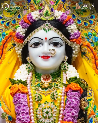 WhatsApp Image 2026-10-10 at 9.58.50 AM