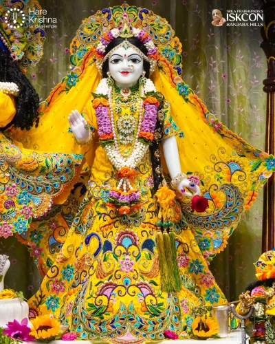 WhatsApp Image 2026-10-10 at 9.58.46 AM (1)