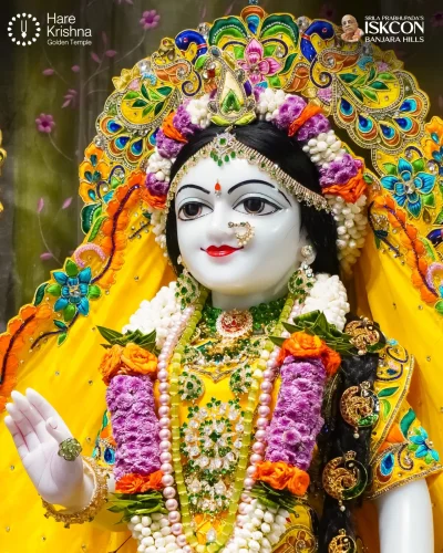 WhatsApp Image 2026-10-10 at 9.58.47 AM (1)