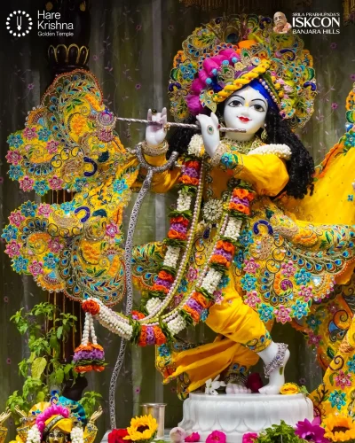 WhatsApp Image 2026-10-10 at 9.58.47 AM