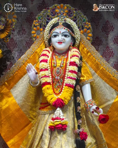 WhatsApp Image 2026-10-12 at 11.33.42 AM (1)