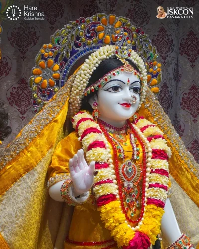 WhatsApp Image 2026-10-12 at 11.33.43 AM (1)