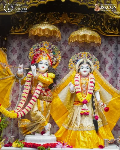 WhatsApp Image 2026-10-12 at 11.33.42 AM
