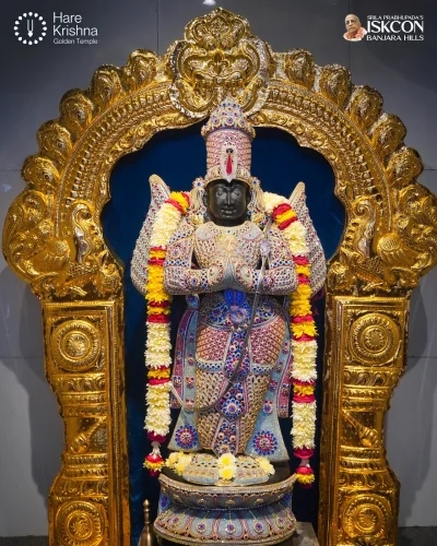 WhatsApp Image 2026-10-12 at 11.33.46 AM (2)