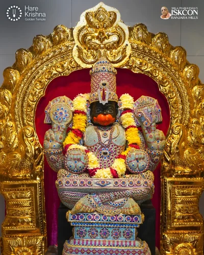 WhatsApp Image 2026-10-12 at 11.33.47 AM