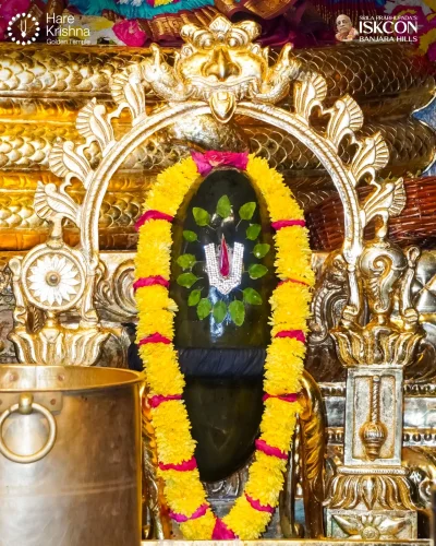 WhatsApp Image 2026-10-13 at 4.26.50 PM (1)