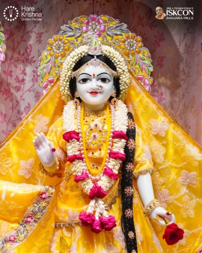 WhatsApp Image 2026-10-15 at 8.33.36 AM (2)