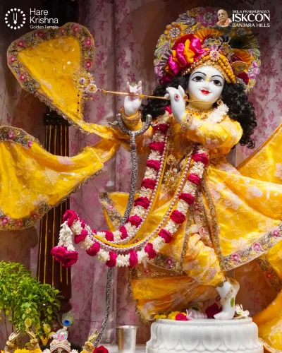 WhatsApp Image 2026-10-15 at 8.33.38 AM