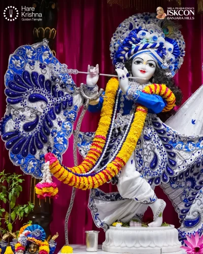 WhatsApp Image 2026-10-16 at 9.42.07 AM (1)