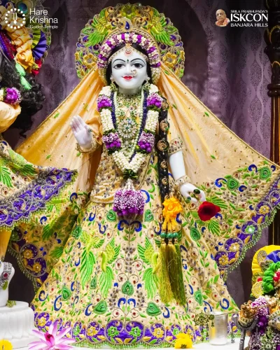WhatsApp Image 2026-10-17 at 9.02.33 AM