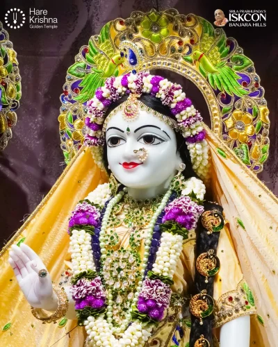 WhatsApp Image 2026-10-17 at 9.02.34 AM (1)
