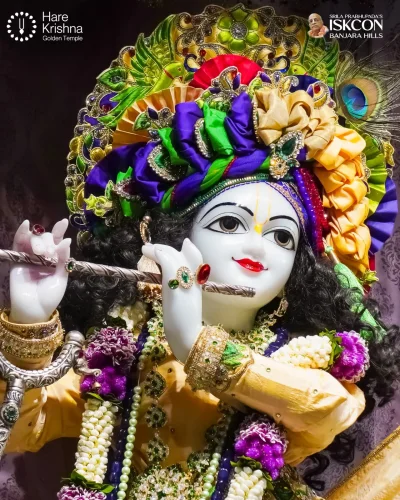 WhatsApp Image 2026-10-17 at 9.02.35 AM (1)