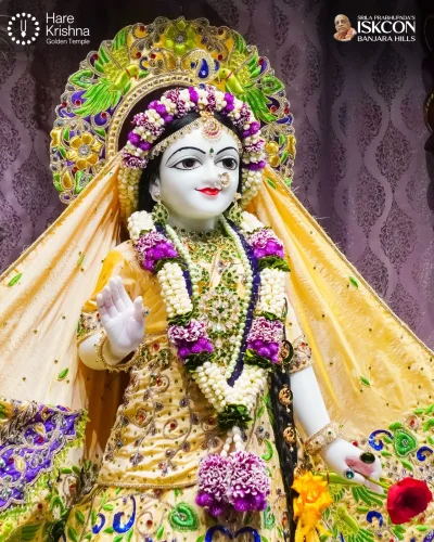 WhatsApp Image 2026-10-17 at 9.02.35 AM
