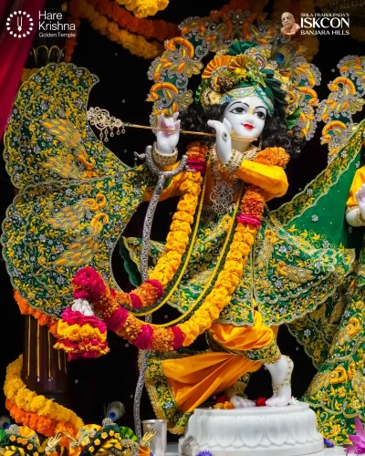 WhatsApp Image 2026-10-23 at 10.39.56 AM (1)