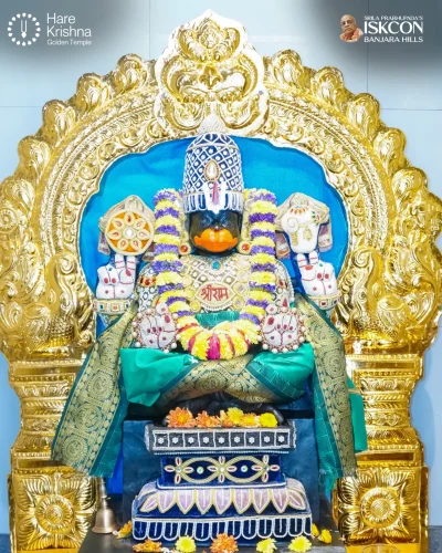 WhatsApp Image 2026-10-23 at 10.40.01 AM