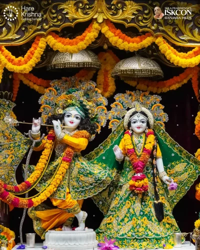 WhatsApp Image 2026-10-23 at 10.39.53 AM
