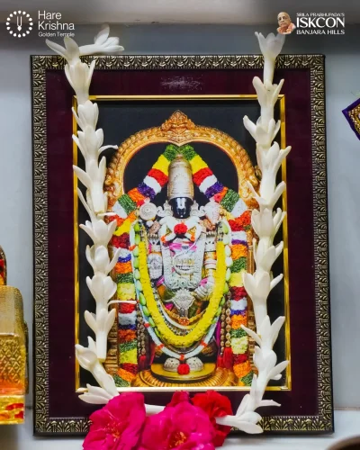 WhatsApp Image 2026-10-24 at 10.05.13 AM