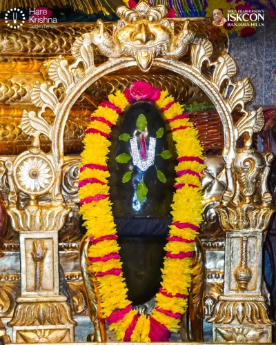 WhatsApp Image 2026-10-24 at 10.05.11 AM (1)