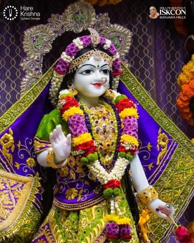 WhatsApp Image 2026-10-24 at 10.05.06 AM (2)