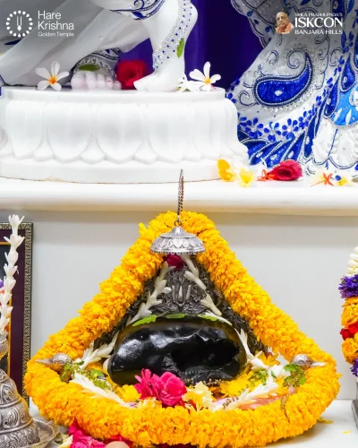 WhatsApp Image 2026-10-26 at 9.47.19 AM (3)